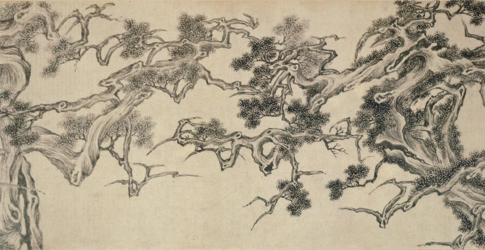 I sette ginepri - dettaglio 1, Honolulu Museum of Art